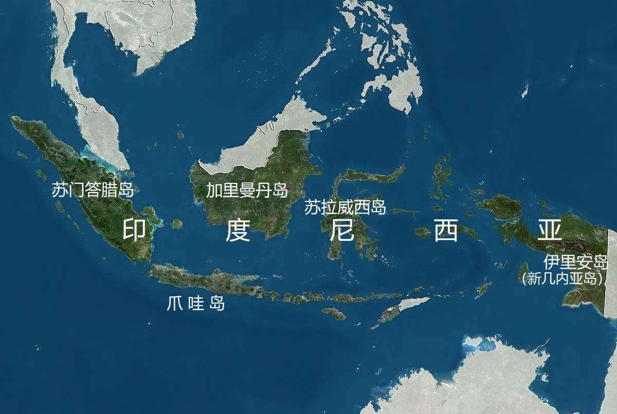 群岛「群岛海参」