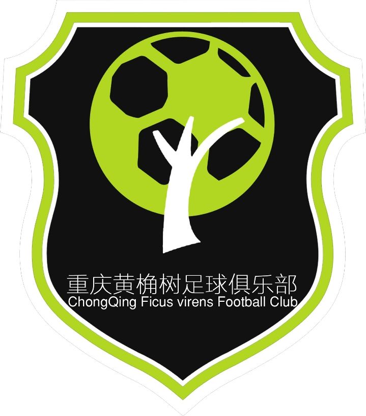 重庆足球俱乐部「重庆犇骉足球俱乐部」