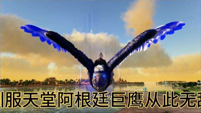 阿根廷巨鹰鞍代码「阿根廷巨鹰鞍代码手游」