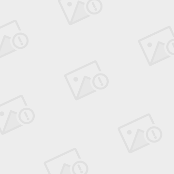 罗伯特巴乔「罗伯特巴乔简介」