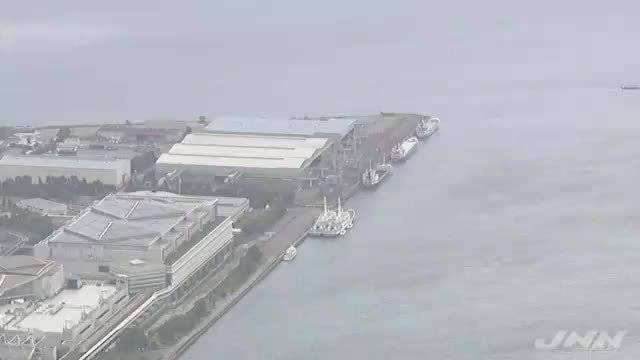 日本东京湾发现残奥会保安浮尸，日本东京湾发现一具浮尸 一查其身份让人不淡定了在哪里看！